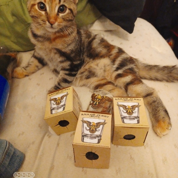 Sailor Jerry Shot Glasses - Picture 2 of 2